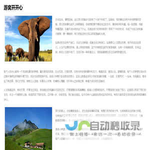 游窝开开心